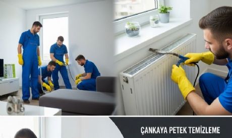 Çankaya Petek Temizleme